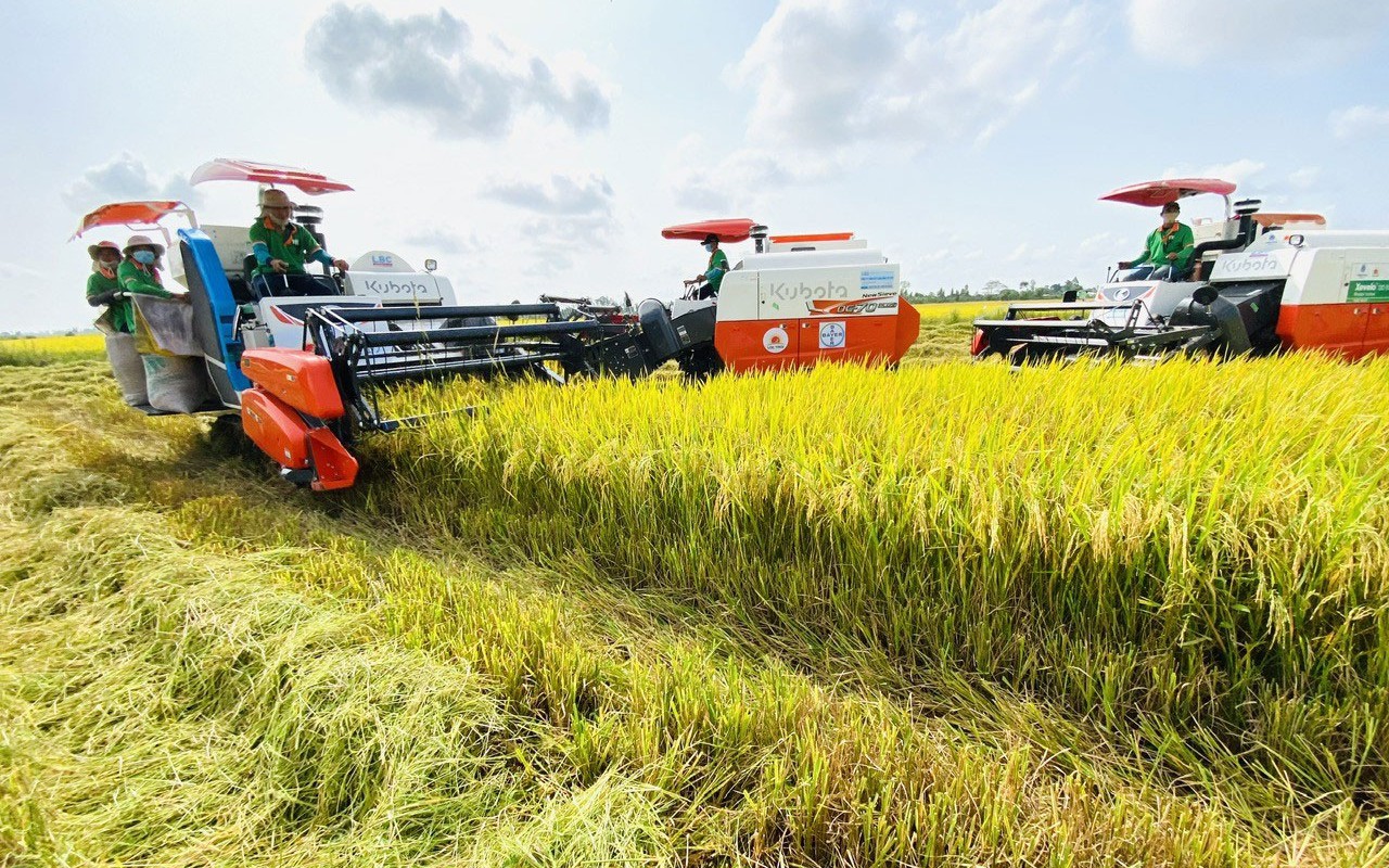 Hợp tác phát triển nông nghiệp xanh