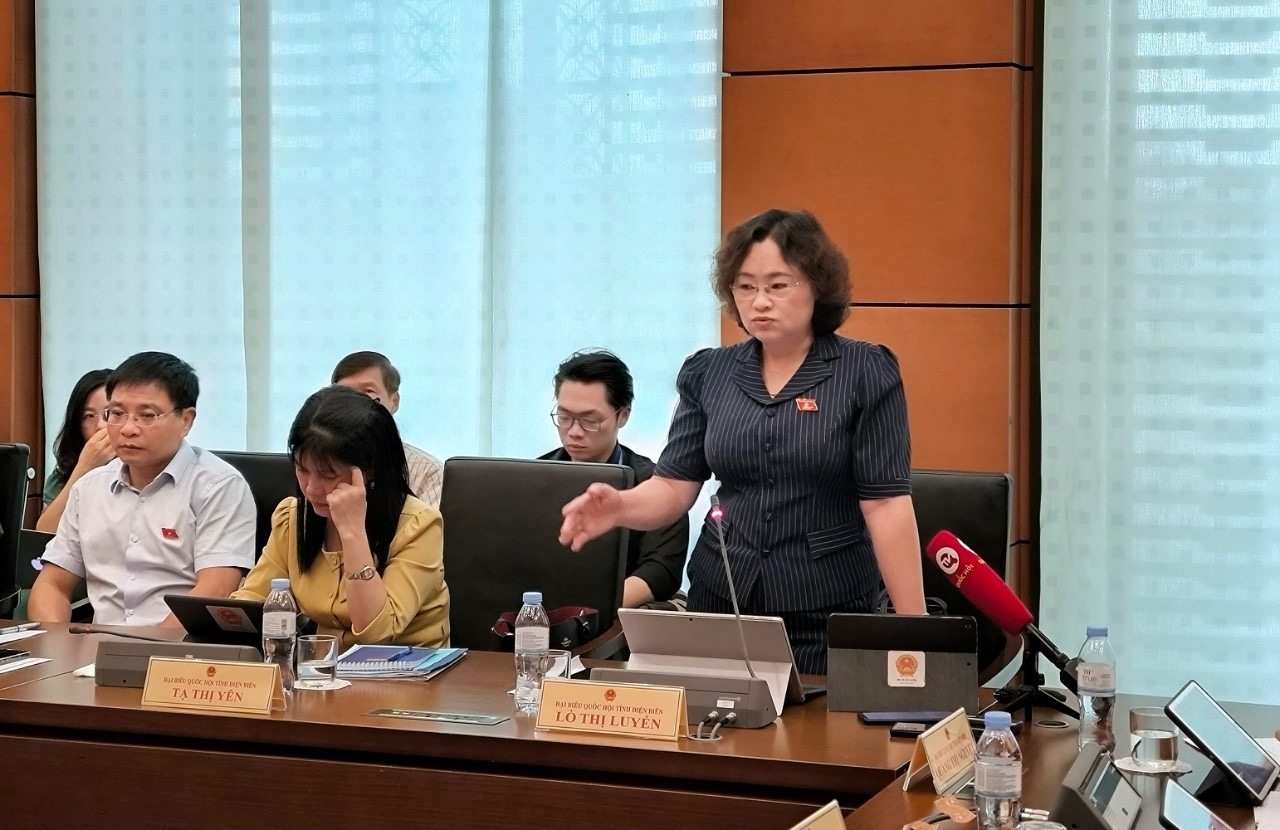 Đại biểu Quốc hội trăn trở làm sao để cán bộ dám nghĩ dám làm tránh rủi ro pháp lý- Ảnh 1.