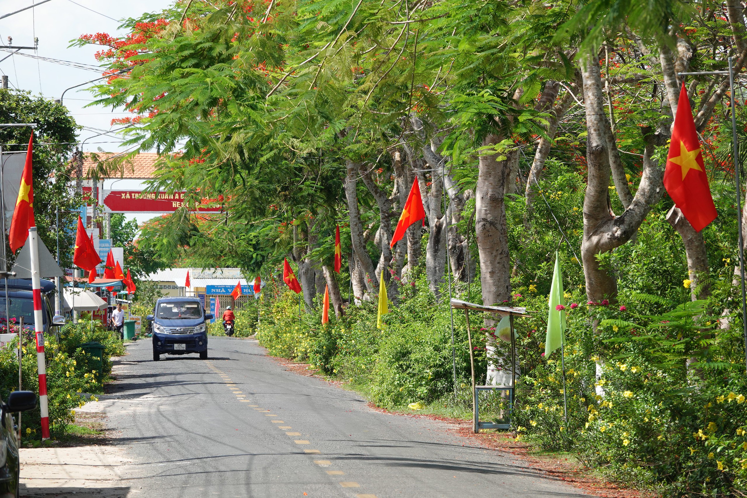 Chương trình
