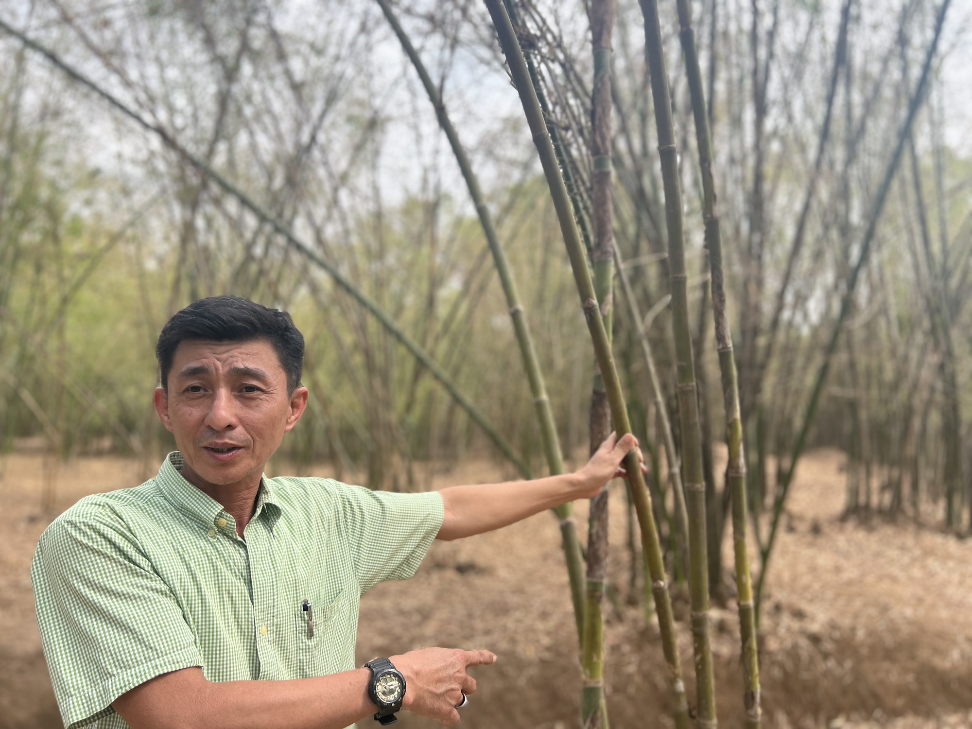 Kh&aacute;m ph&aacute; l&agrave;ng tre "c&oacute; một kh&ocirc;ng hai" của Việt Nam- Ảnh 5.