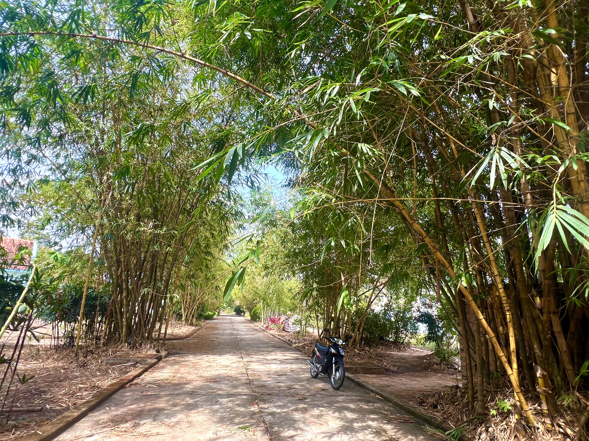 Kh&aacute;m ph&aacute; l&agrave;ng tre "c&oacute; một kh&ocirc;ng hai" của Việt Nam- Ảnh 2.