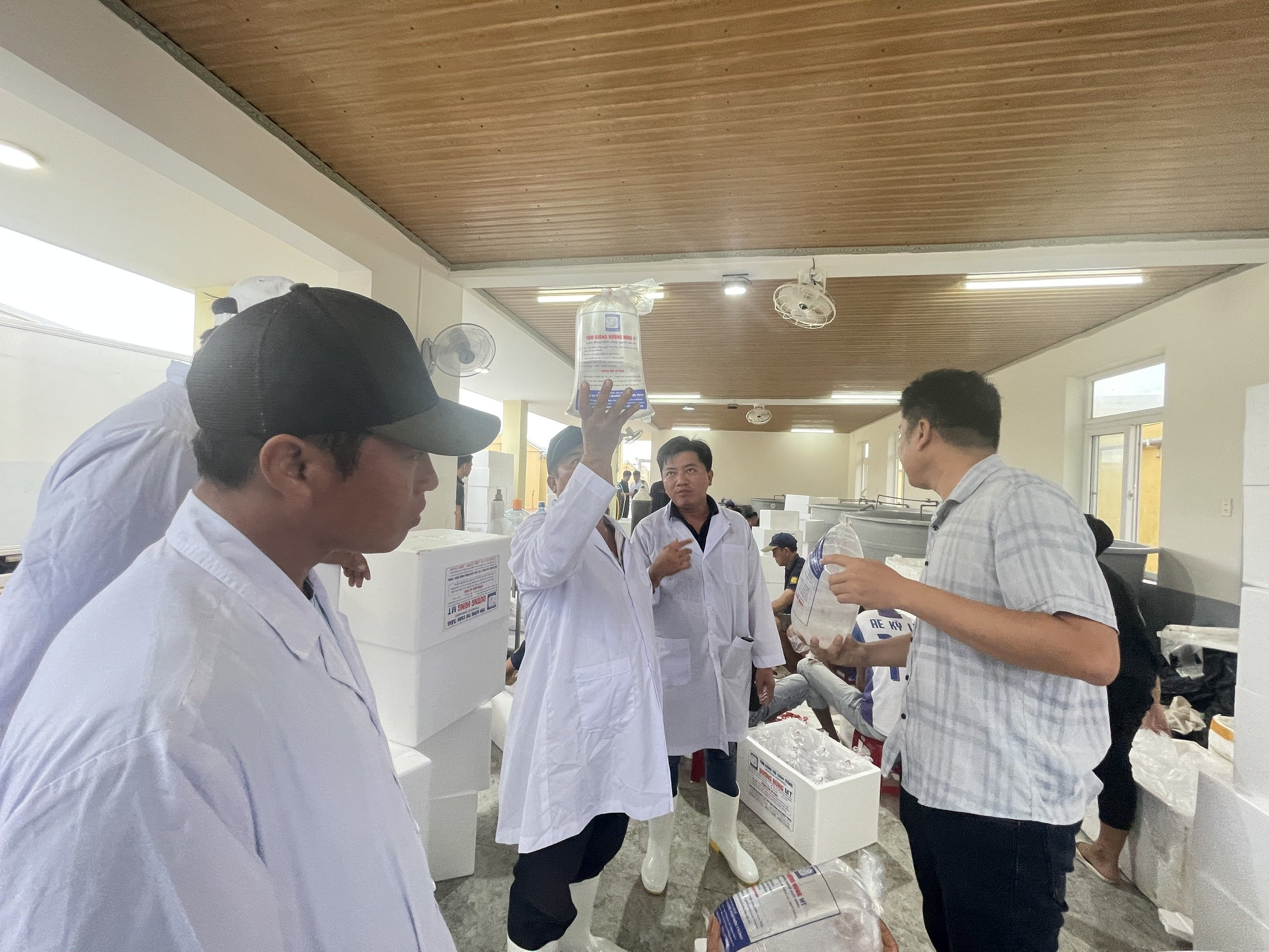 Mebi - Group chính thức tham gia ngành Tôm Việt Nam- Ảnh 1. Mebi - Group chính thức tham gia ngành Tôm Việt Nam- Ảnh 1.