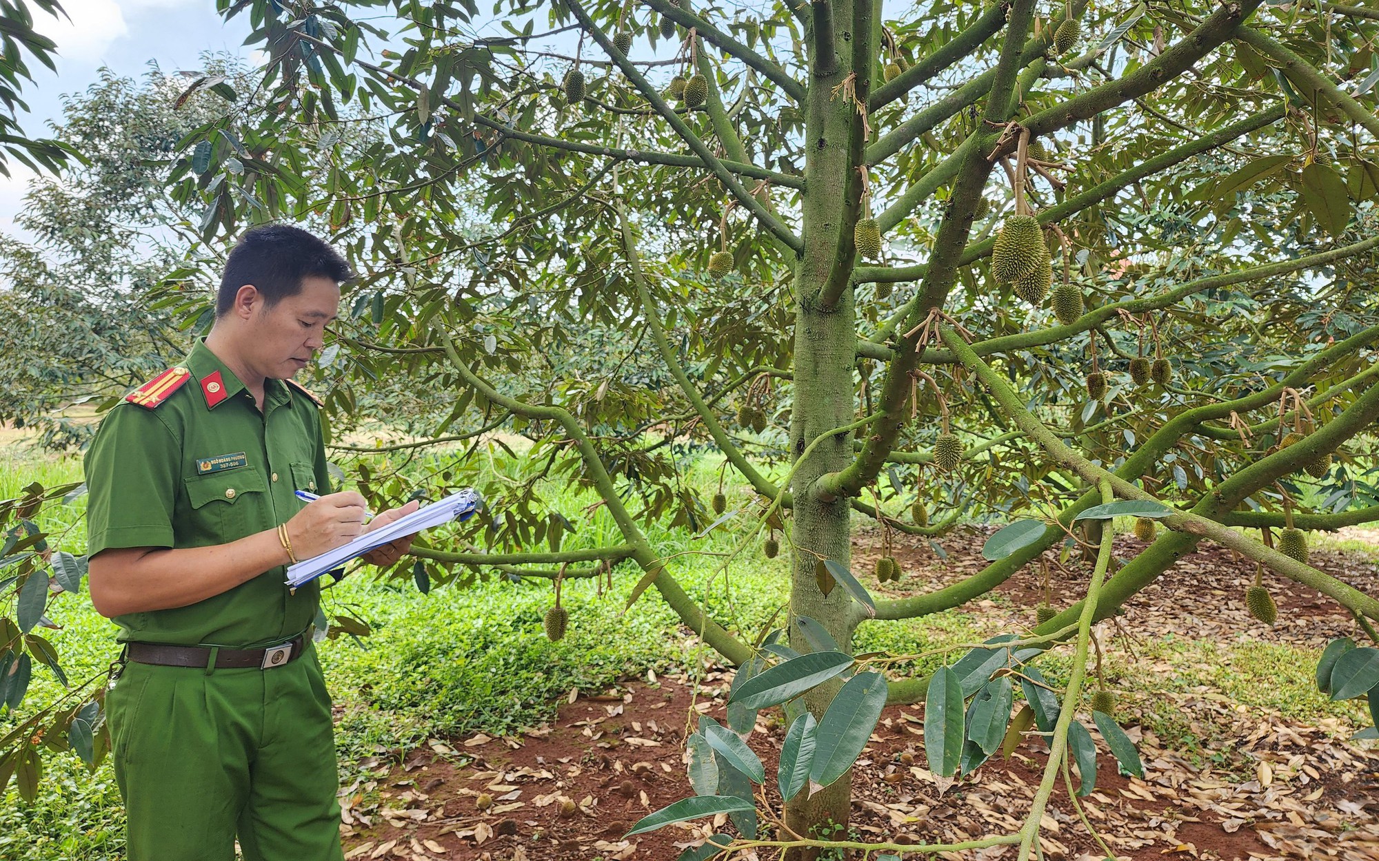 Cha và con tranh chấp 1 lô đất suốt 7 năm