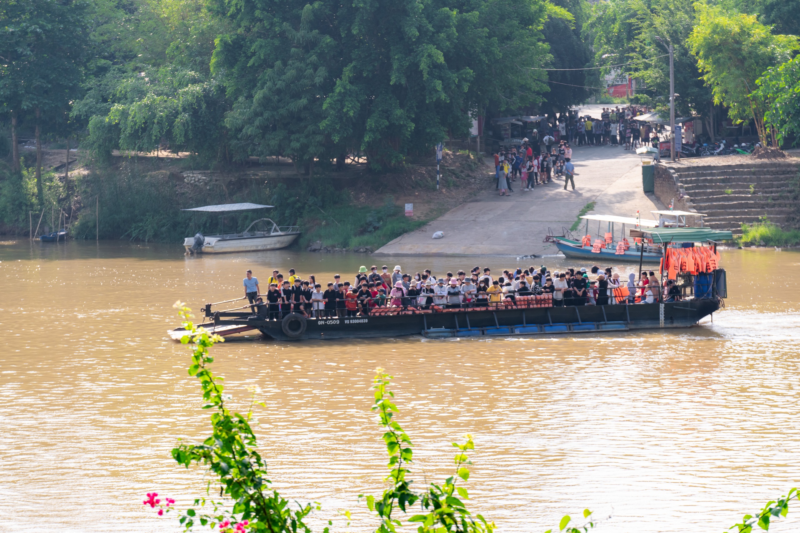 Mùa hè vào Vườn Quốc gia Cát Tiên ngắm thú đêm, xem bướm- Ảnh 3.