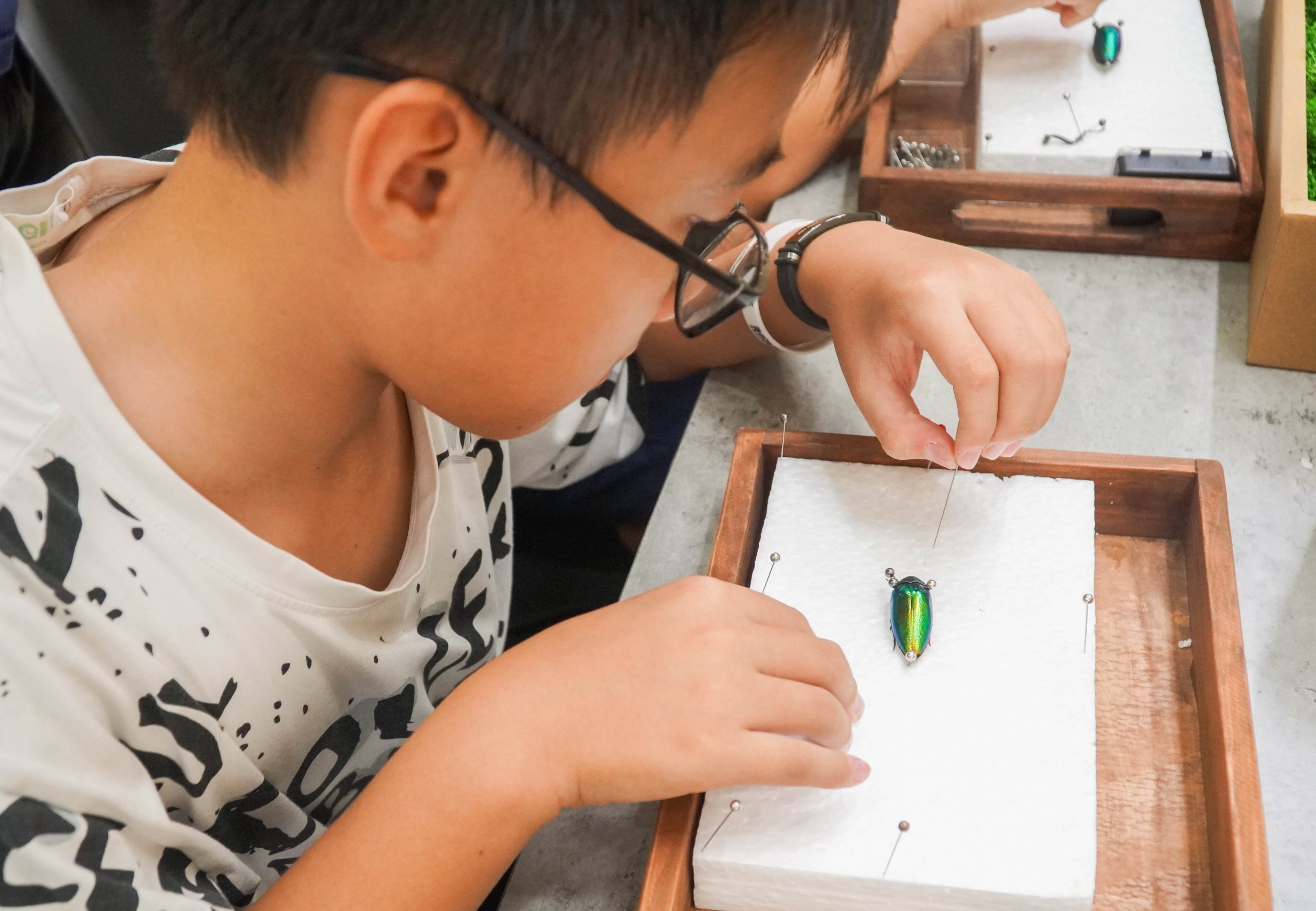 Sinh vi&ecirc;n mở workshop l&agrave;m ti&ecirc;u bản, kết nối nhiều bạn b&egrave; quốc tế- Ảnh 3.