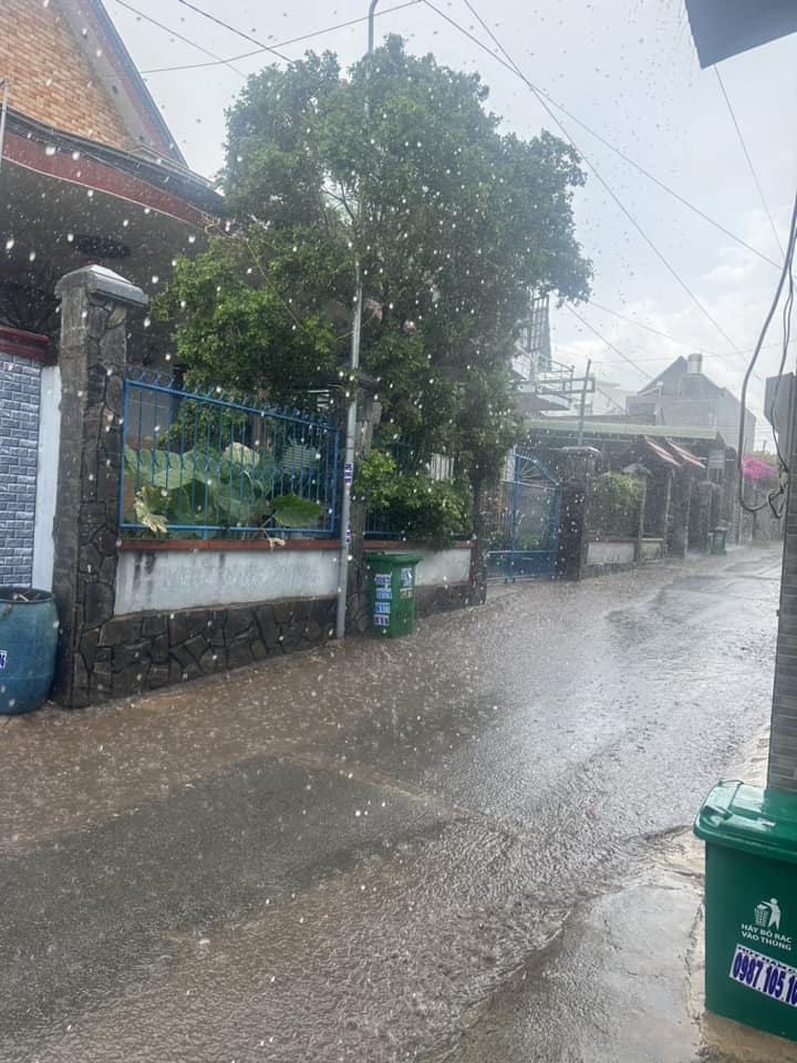 Đồng Nai vừa có