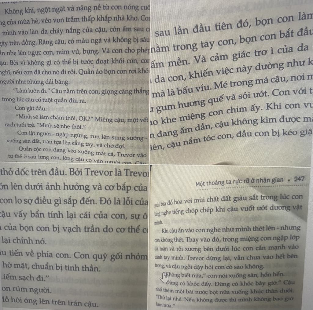 Trường quốc tế ph&aacute;t h&agrave;nh s&aacute;ch c&oacute; nội dung nhạy cảm, khi&ecirc;u d&acirc;m cho học sinh- Ảnh 1.