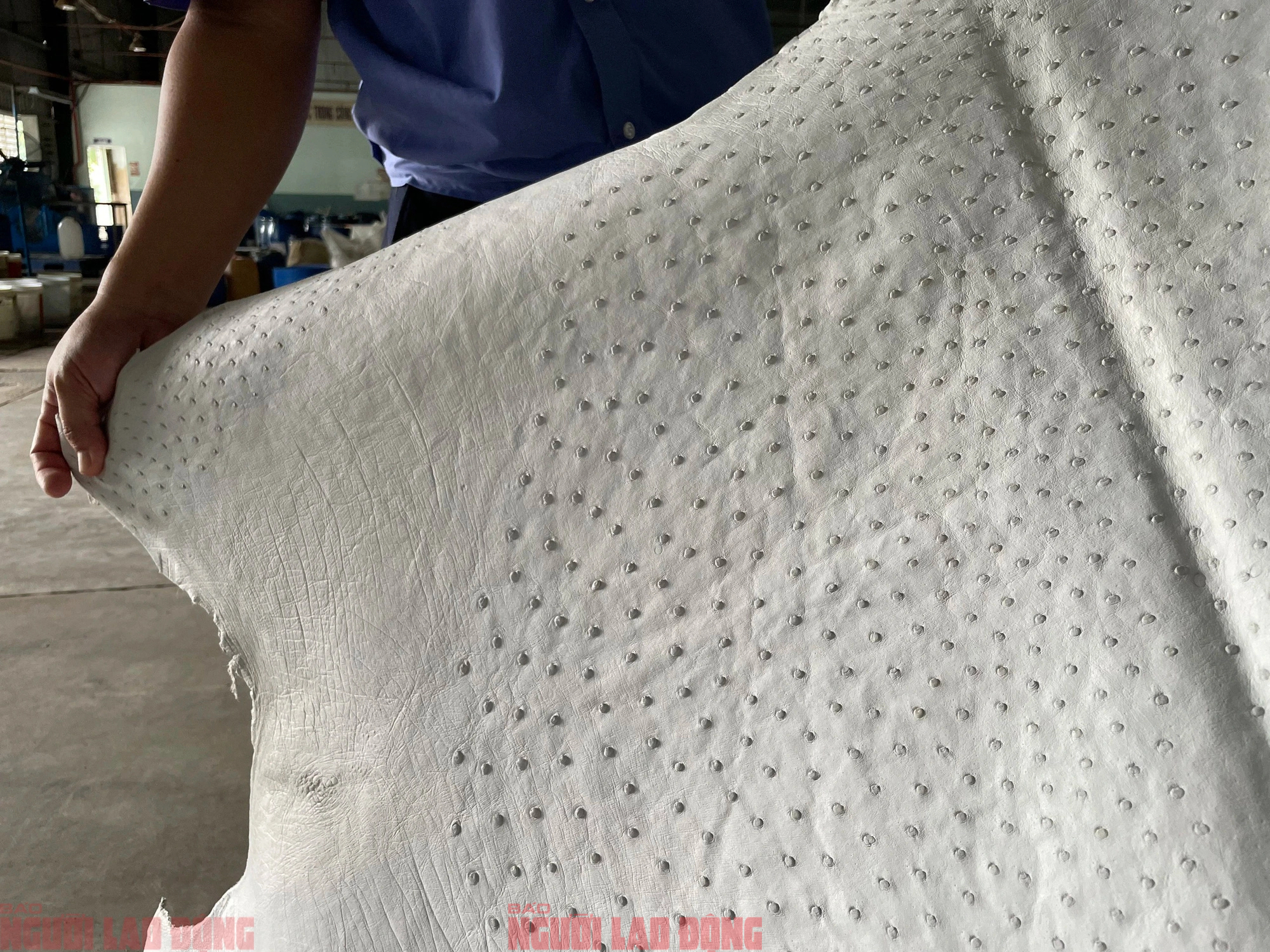 Cận cảnh quy trình thuộc da đà điểu - cá sấu ở nhà máy lớn nhất Việt Nam- Ảnh 2.
