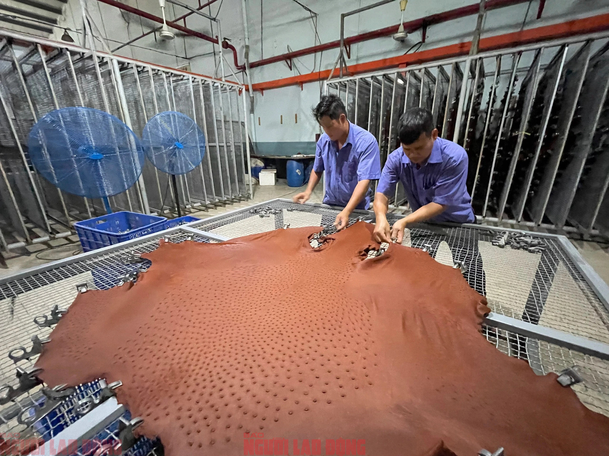 Cận cảnh quy trình thuộc da đà điểu - cá sấu ở nhà máy lớn nhất Việt Nam- Ảnh 6.