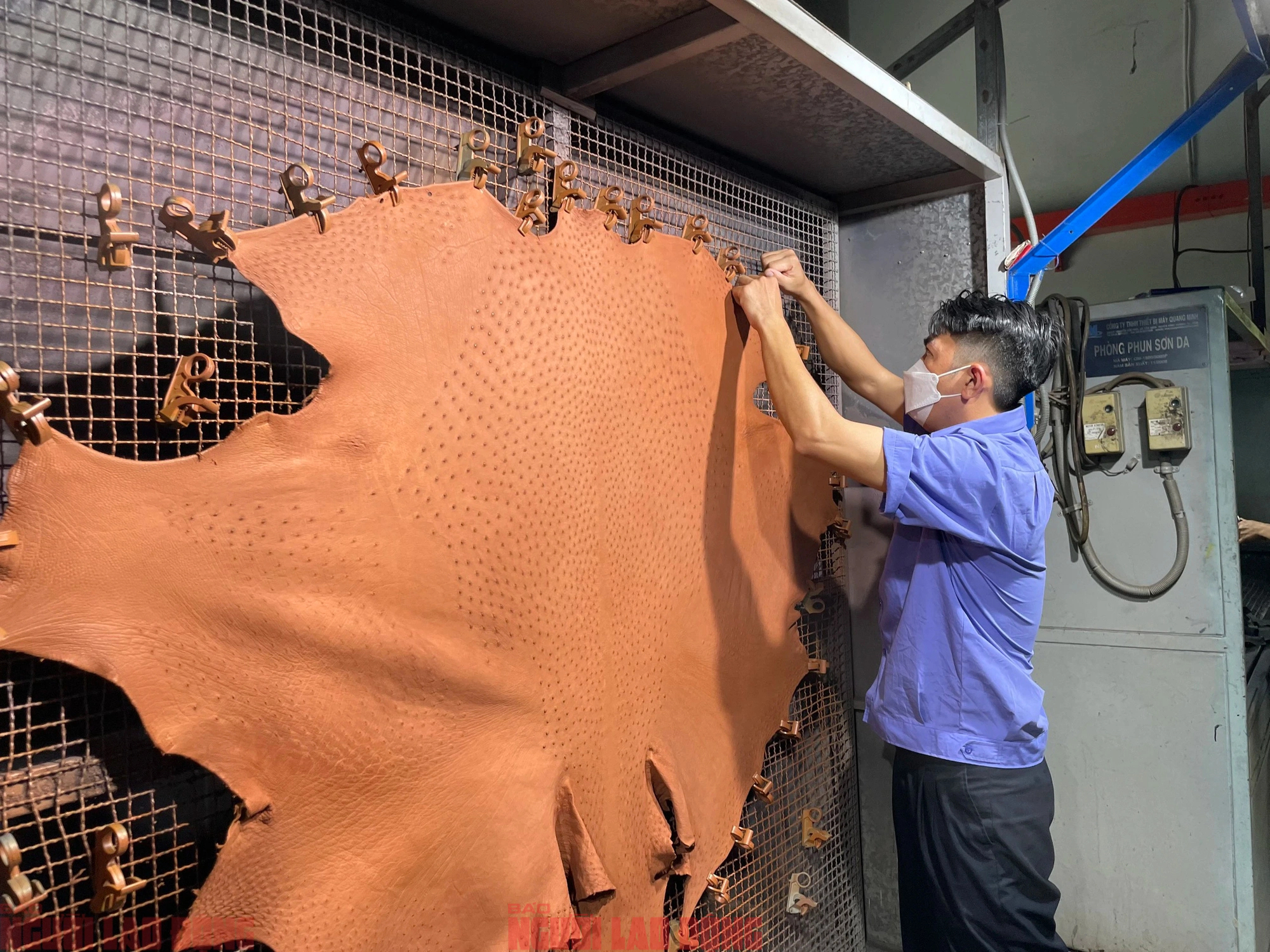 Cận cảnh quy trình thuộc da đà điểu - cá sấu ở nhà máy lớn nhất Việt Nam- Ảnh 8.