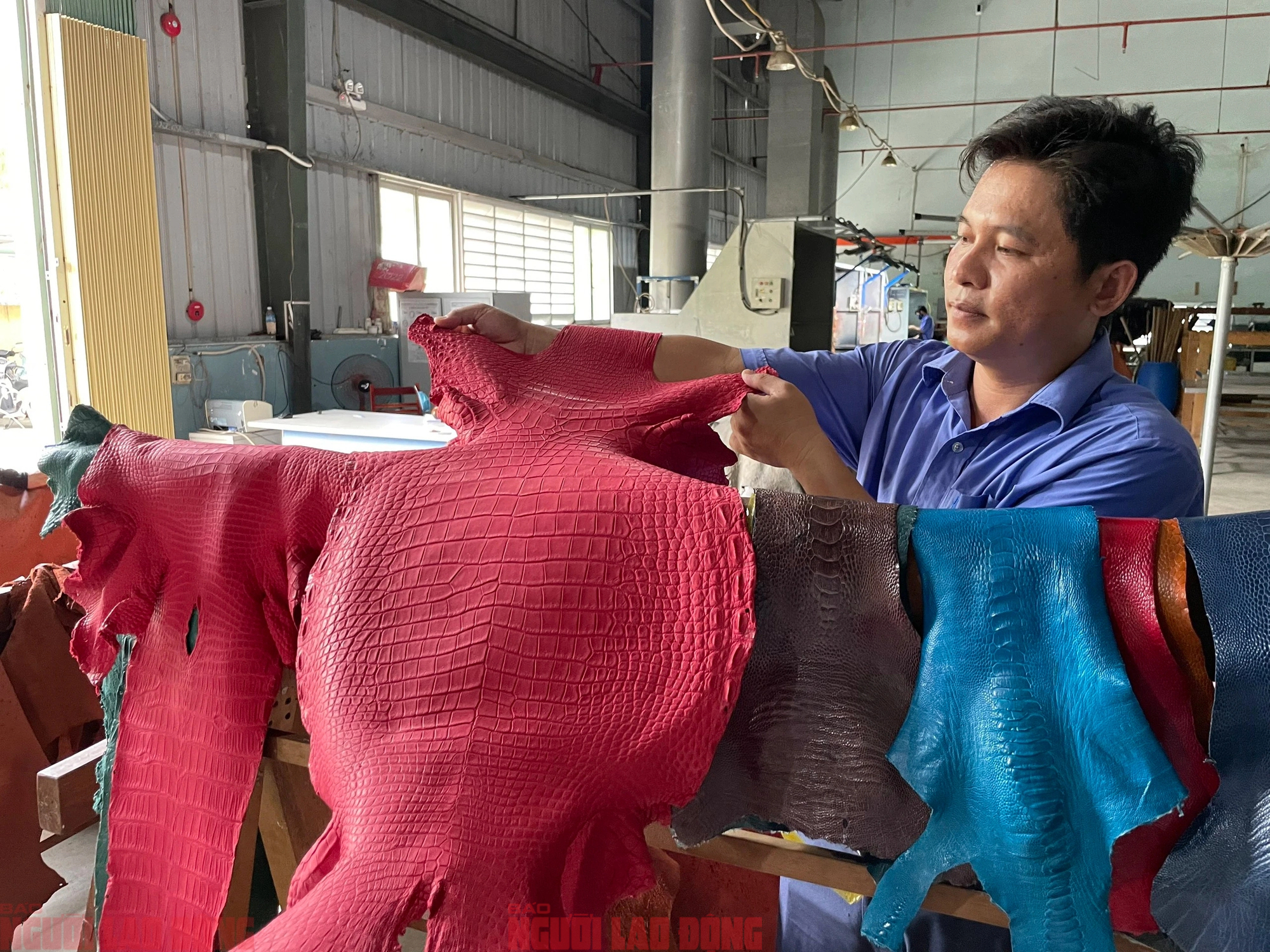 Cận cảnh quy trình thuộc da đà điểu - cá sấu ở nhà máy lớn nhất Việt Nam- Ảnh 13.