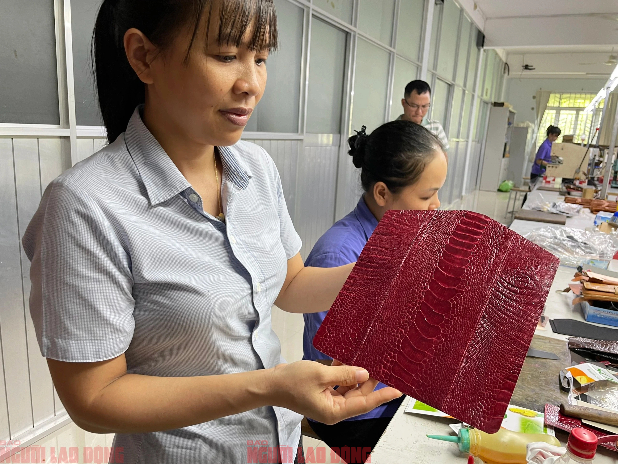 Cận cảnh quy trình thuộc da đà điểu - cá sấu ở nhà máy lớn nhất Việt Nam- Ảnh 15.