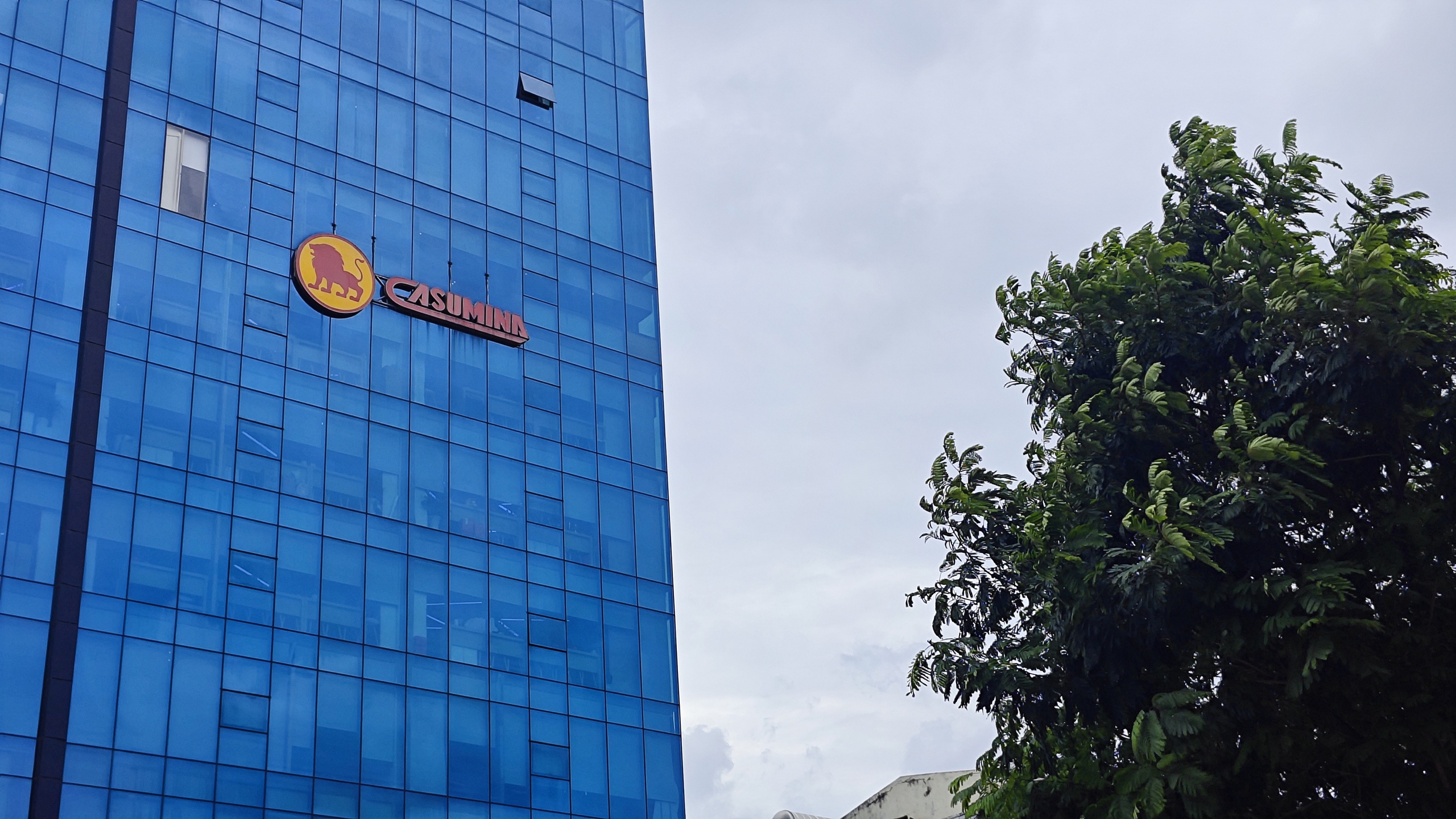 Tập đo&agrave;n C&ocirc;ng nghiệp cao su Việt Nam kh&ocirc;ng li&ecirc;n quan đến Casumina- Ảnh 1.