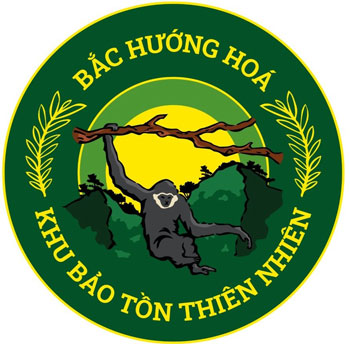 Lần theo tiếng hú của vượn Siki- Ảnh 1.