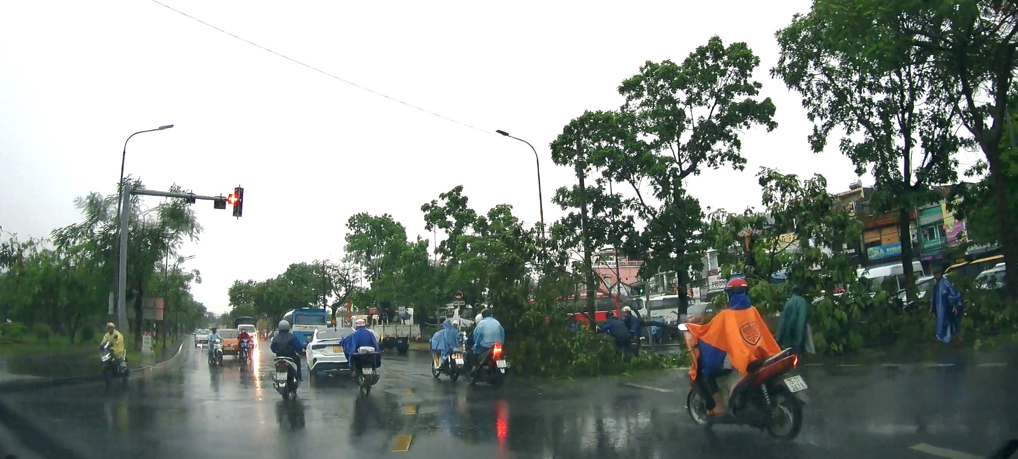Cây xanh ngã đổ, nhà cửa hư hại vì dông lốc ở Huế- Ảnh 1.