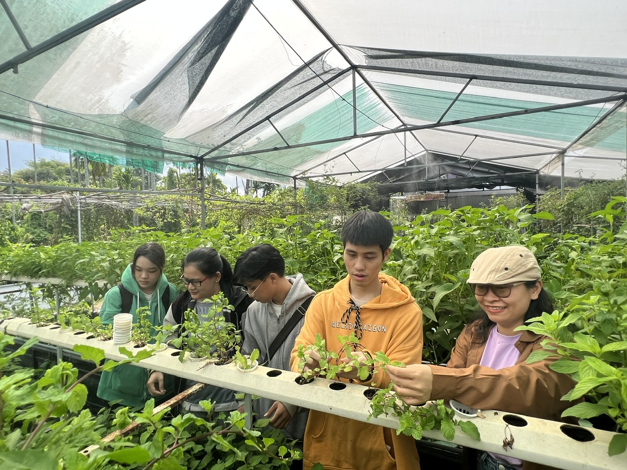 Chị Huỳnh Thị Tú Thuyết (bìa phải) hướng dẫn các học sinh tham quan mô hình aquaponics tại trang trại Tomochan Farm