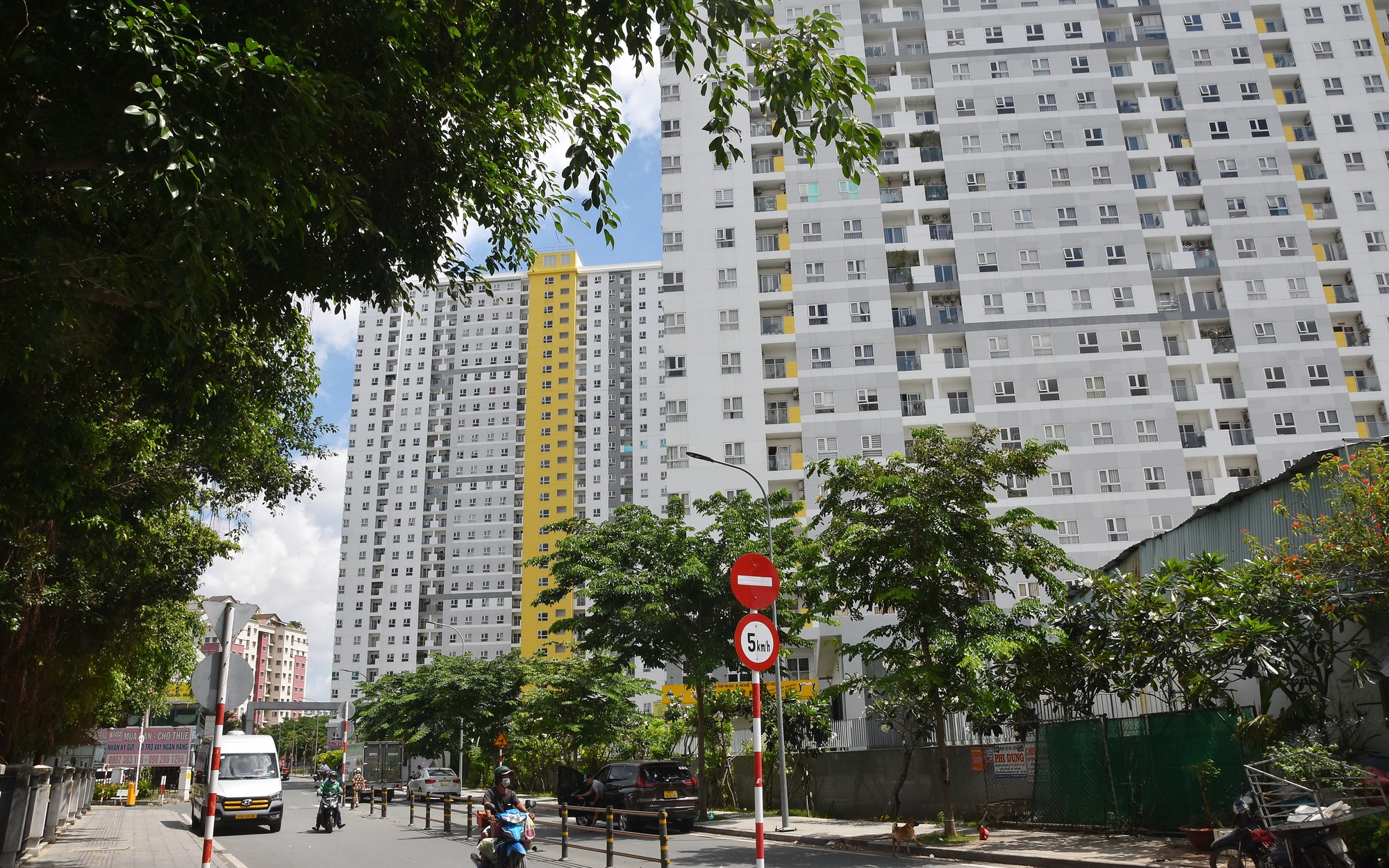 Thị trường căn hộ ở TP HCM sôi động