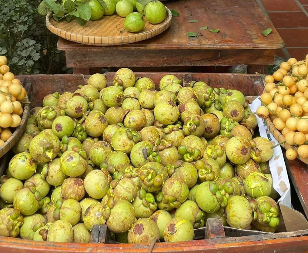 Măng cụt gọt sẵn vẫn đắt đỏ d&ugrave; m&oacute;n gỏi g&agrave; măng cụt hết 