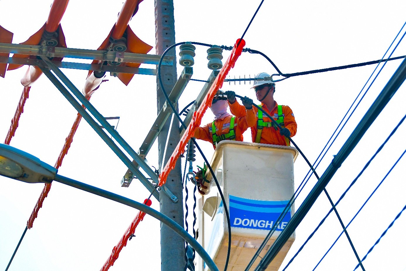 A group of men working on power lines Description automatically generated