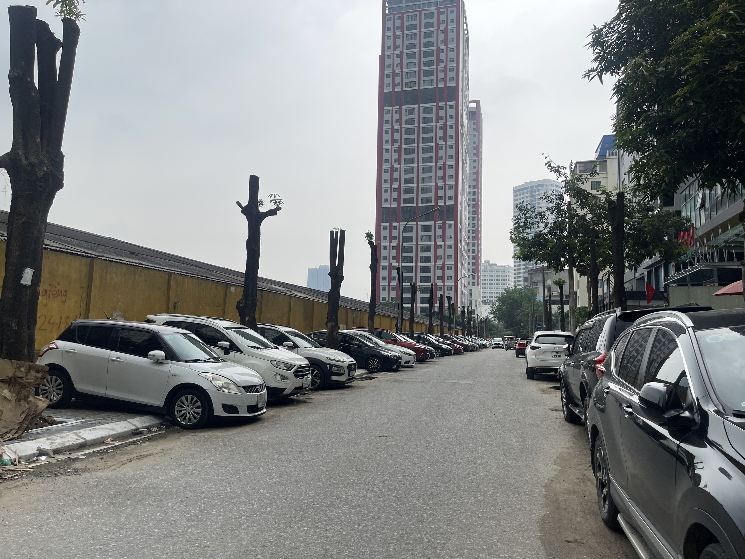 Cận cảnh hàng loạt cây xanh lâu năm bị cắt trụi cành, chặt rễ quanh gốc- Ảnh 4.