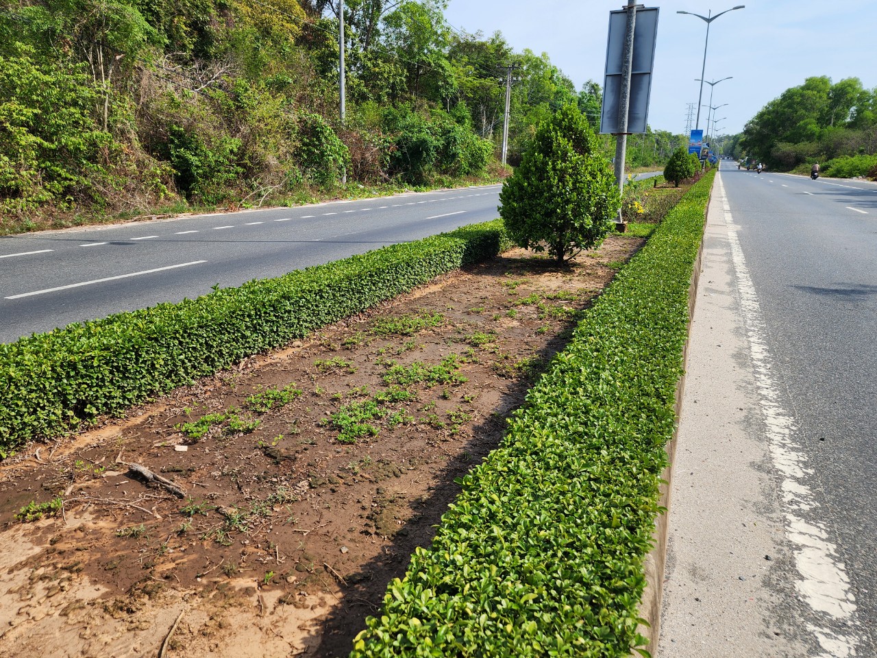 C&ocirc;ng ty C&acirc;y Xanh C&ocirc;ng Minh từng tr&uacute;ng nhiều g&oacute;i thầu khủng ở Ph&uacute; Quốc- Ảnh 5.
