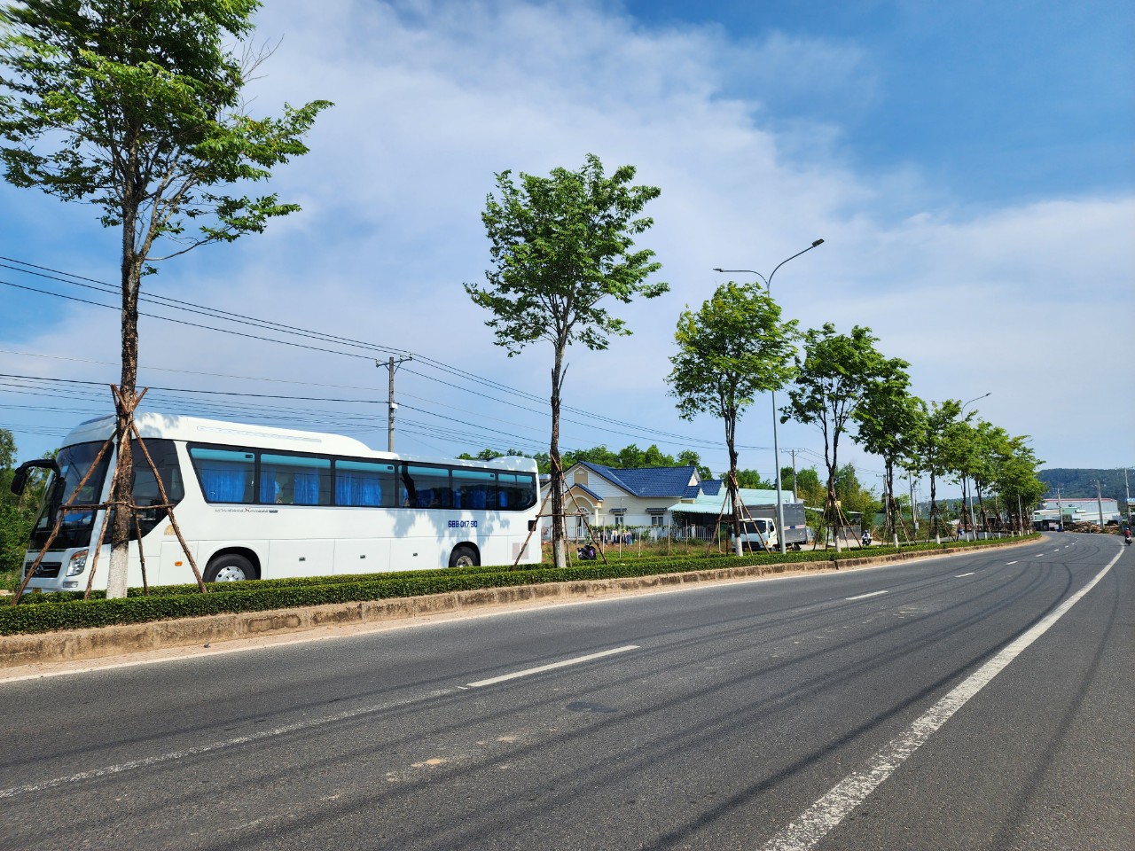 C&ocirc;ng ty C&acirc;y Xanh C&ocirc;ng Minh từng tr&uacute;ng nhiều g&oacute;i thầu khủng ở Ph&uacute; Quốc- Ảnh 4.