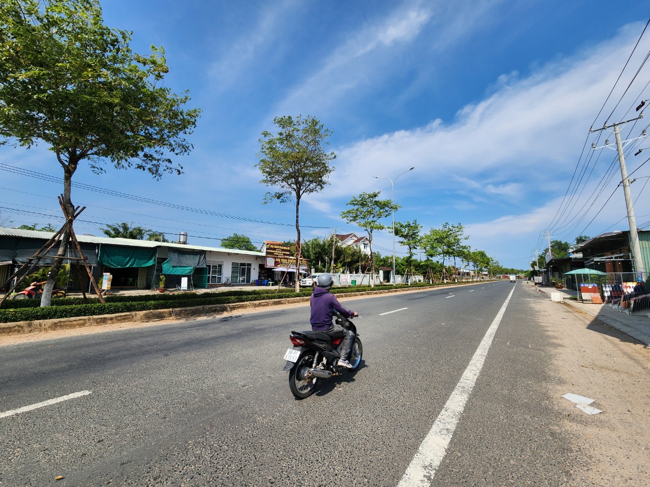 C&ocirc;ng ty C&acirc;y Xanh C&ocirc;ng Minh từng tr&uacute;ng nhiều g&oacute;i thầu khủng ở Ph&uacute; Quốc- Ảnh 2.