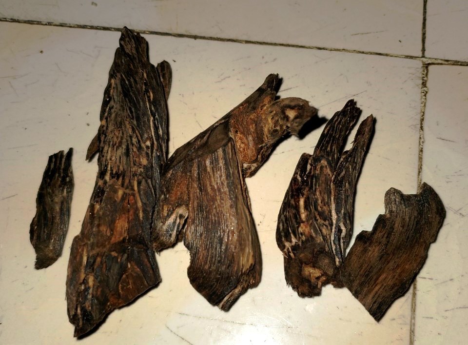 PHÓNG SỰ: Đời phu trầm ở xứ trầm hương- Ảnh 8.