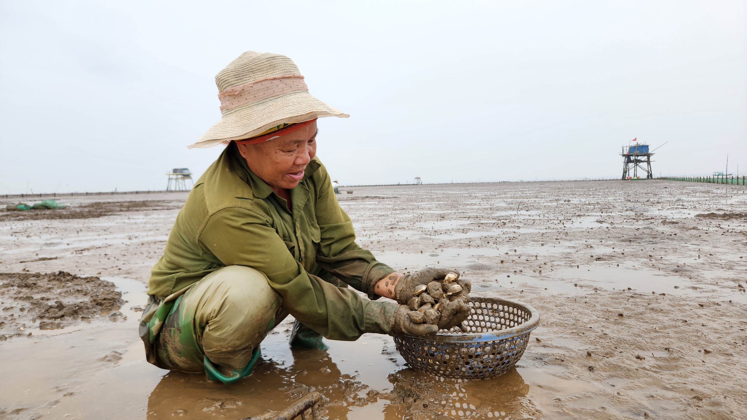 Ra đảo Nẹ ăn, ngủ cùng ngao- Ảnh 5.
