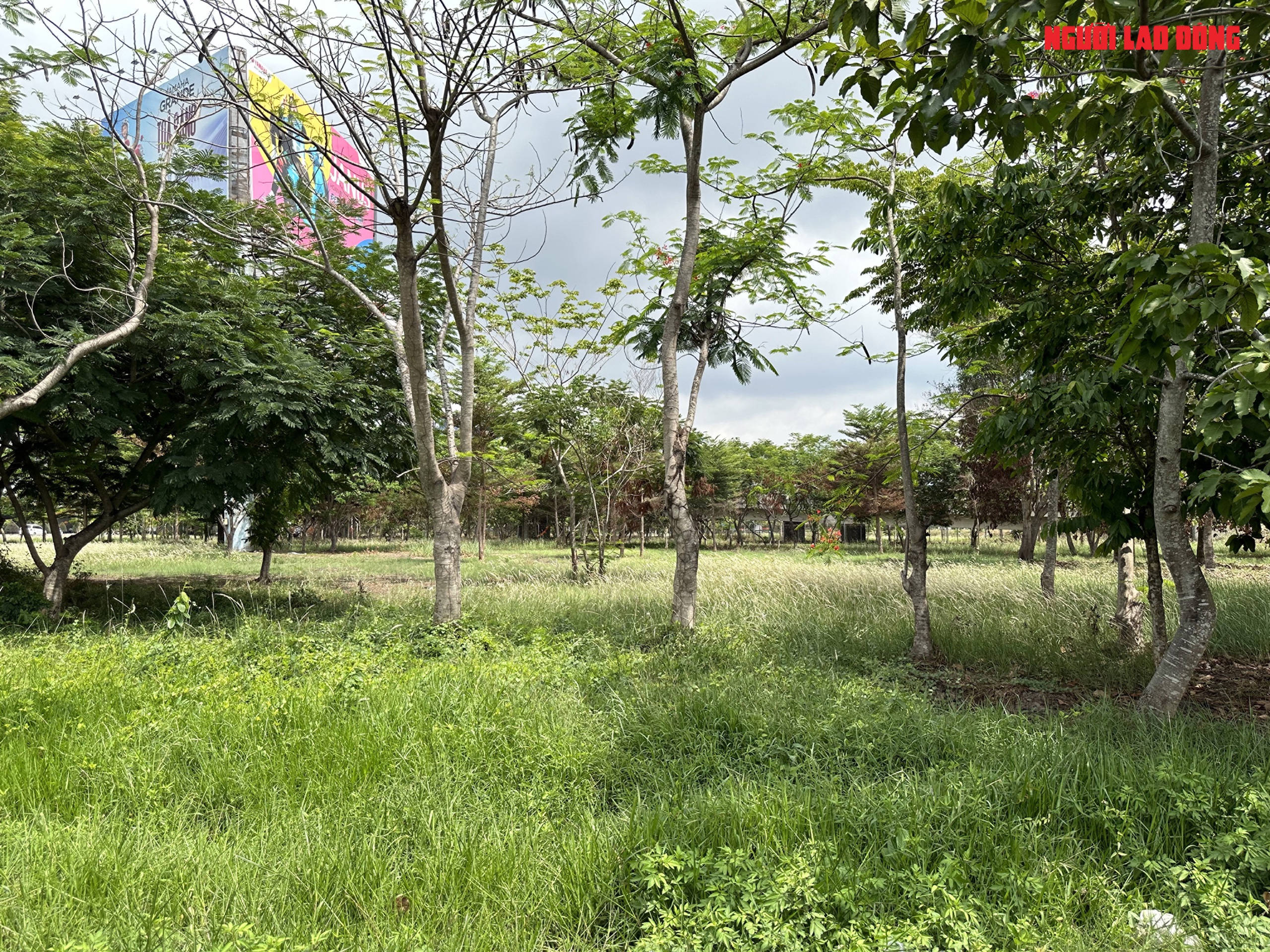 VIDEO: Những h&igrave;nh ảnh chưa đẹp tại cửa ng&otilde; nội &ocirc; Cần Thơ- Ảnh 3.