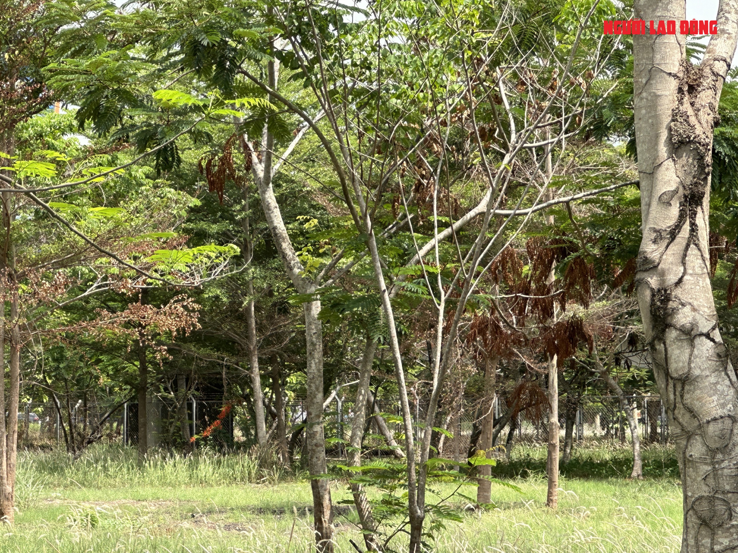VIDEO: Những h&igrave;nh ảnh chưa đẹp tại cửa ng&otilde; nội &ocirc; Cần Thơ- Ảnh 4.