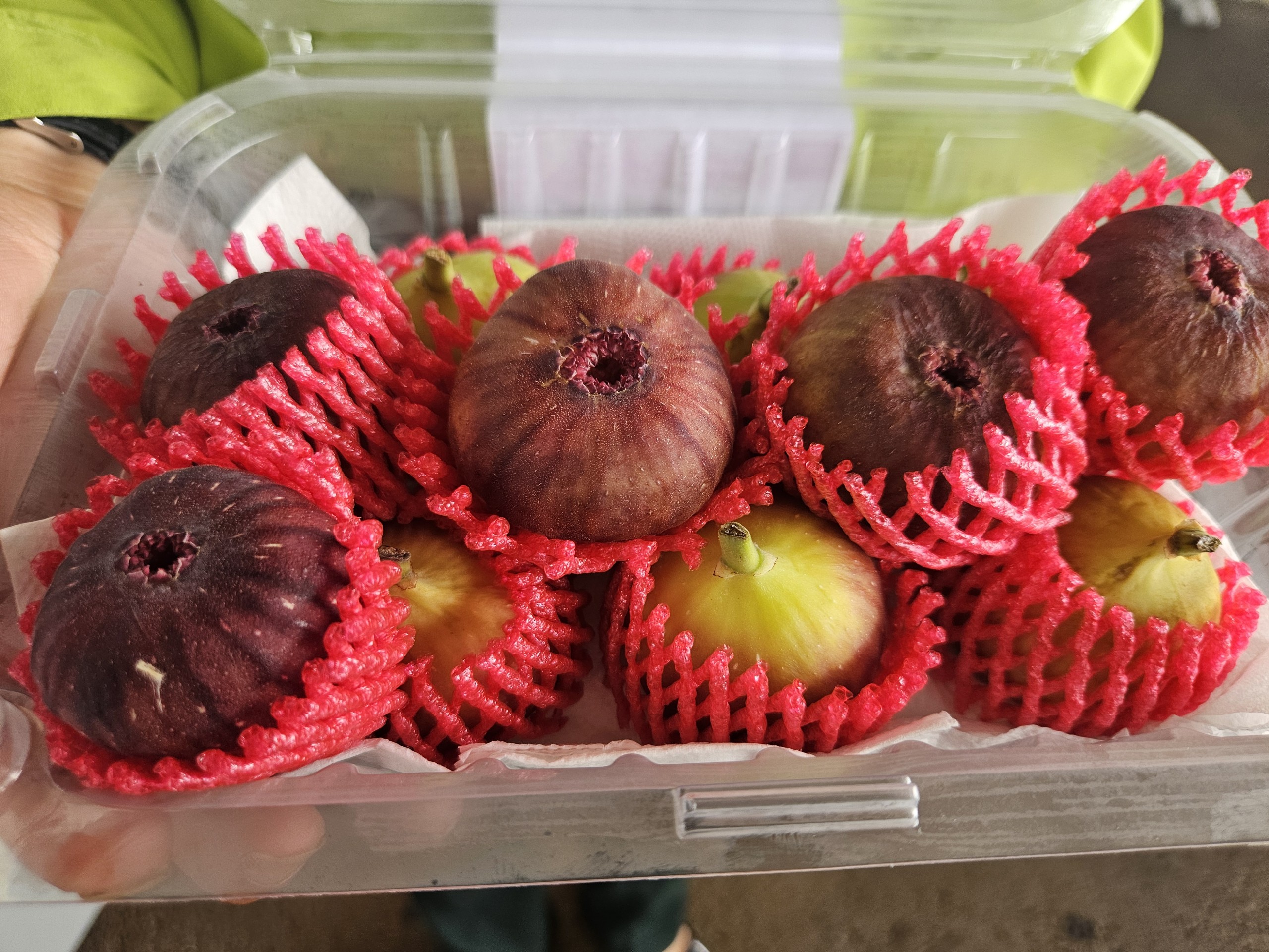 Rủ nhau đi
