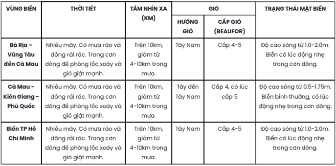 TP HCM v&agrave; Nam Bộ chiều 10-6 xuất hiện mưa r&agrave;o v&agrave; d&ocirc;ng rải r&aacute;c- Ảnh 2.