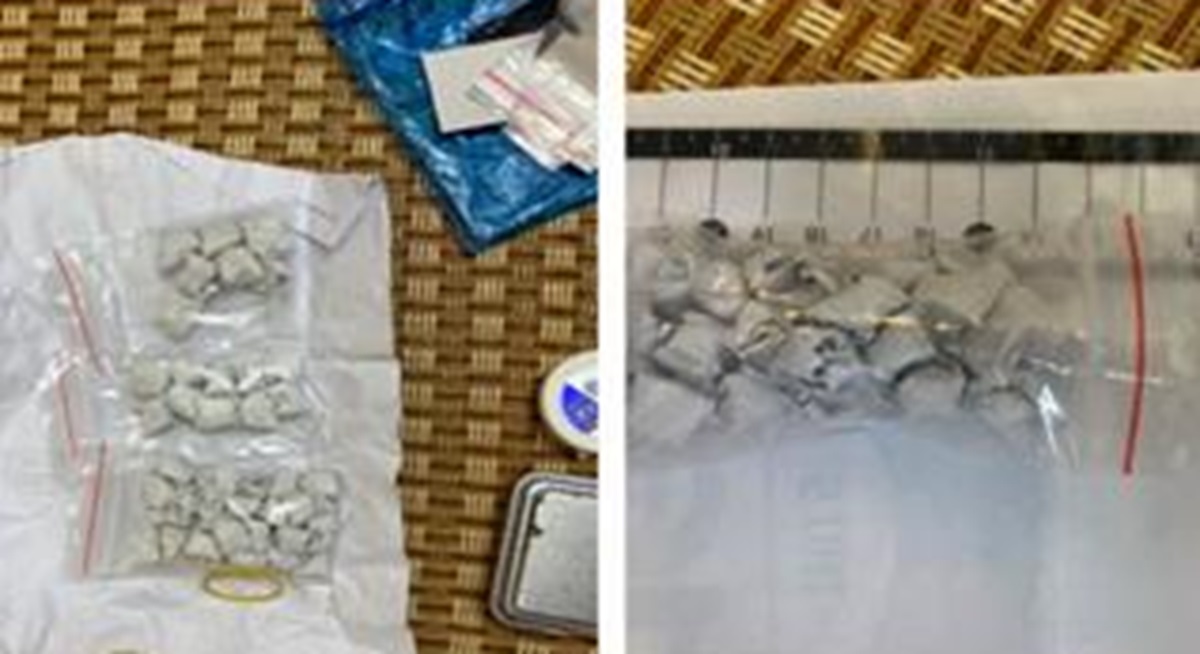 Nữ giúp việc kiêm "shipper" ma túy cho nữ chủ nhà- Ảnh 2.