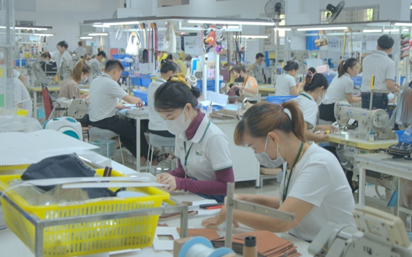 Tự chủ nguyên phụ liệu dệt may, da giày