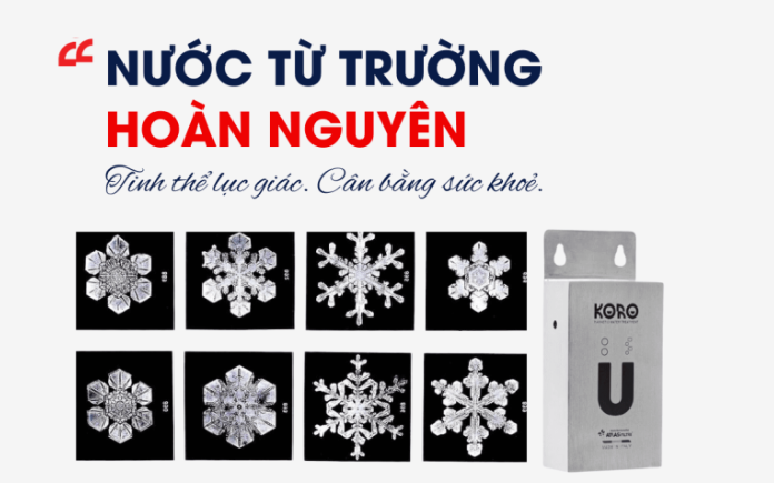 Ph&acirc;n biệt nước từ trường ho&agrave;n nguy&ecirc;n với nước qua xử l&yacute; từ trường