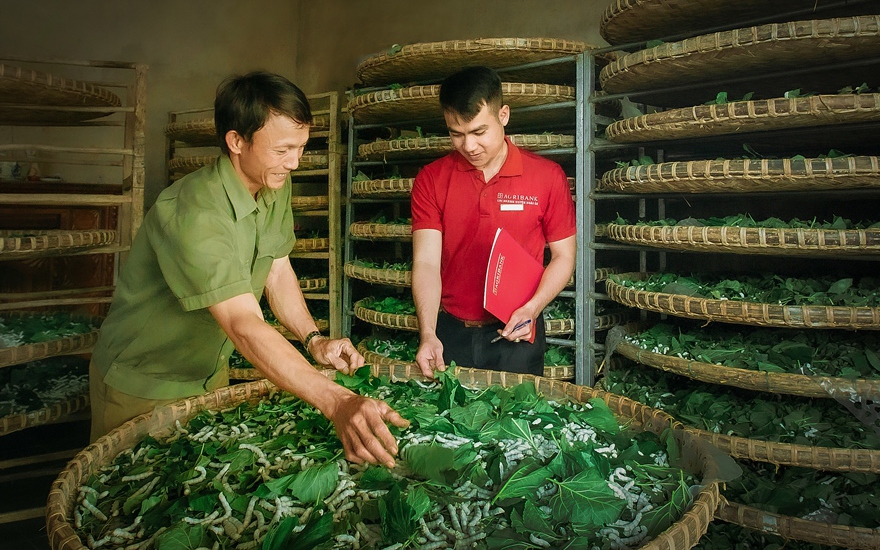Agribank -Từ d&ograve;ng t&iacute;n dụng chủ lực đến chiến lược &ldquo;Phụng sự từ tr&aacute;i tim&rdquo; (Kỳ 1) - Ảnh 5.