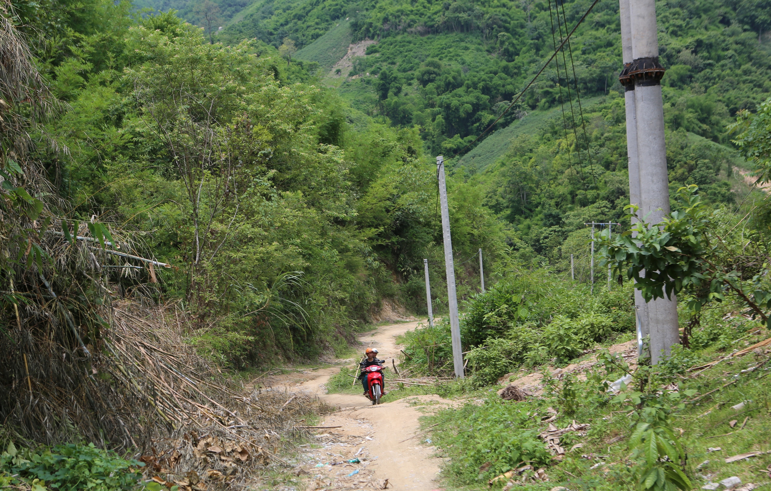 Xanh lại bản ngh&egrave;o T&agrave; C&oacute;m- Ảnh 2.