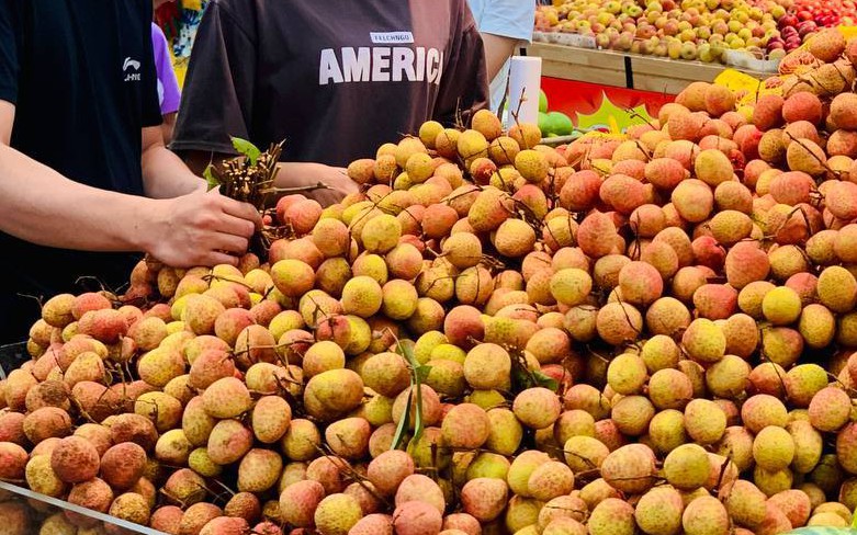 Diễn biến lạ với vải thiều chính vụ 
