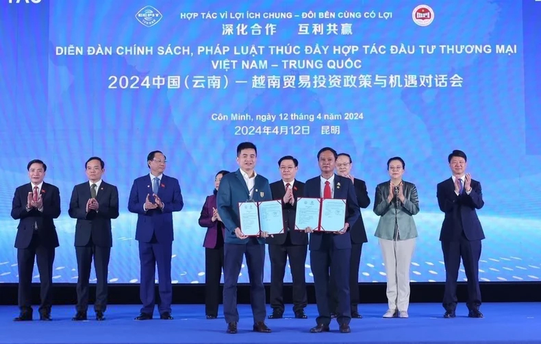 Yến s&agrave;o Kh&aacute;nh H&ograve;a xuất khẩu đi 30 nước- Ảnh 2.
