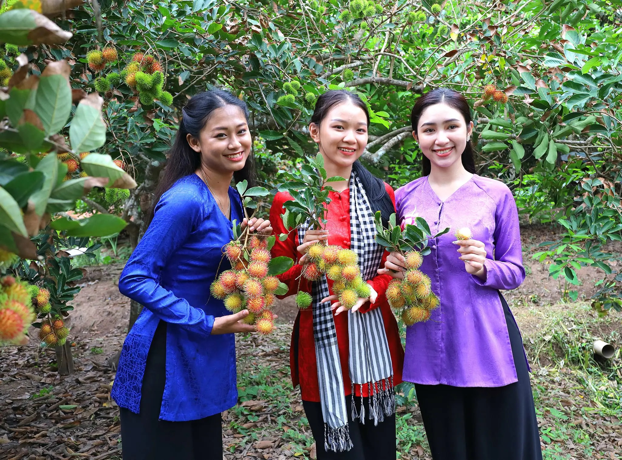 Th&ocirc;ng tin đ&aacute;ng ch&uacute; &yacute; tr&ecirc;n b&aacute;o in Người Lao Động ng&agrave;y 17-6- Ảnh 1.