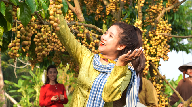 Nhiều du kh&aacute;ch th&iacute;ch th&uacute; khi tham quan c&aacute;c vườn c&acirc;y ăn tr&aacute;i ở C&agrave; Mau Ảnh: V&Acirc;N DU