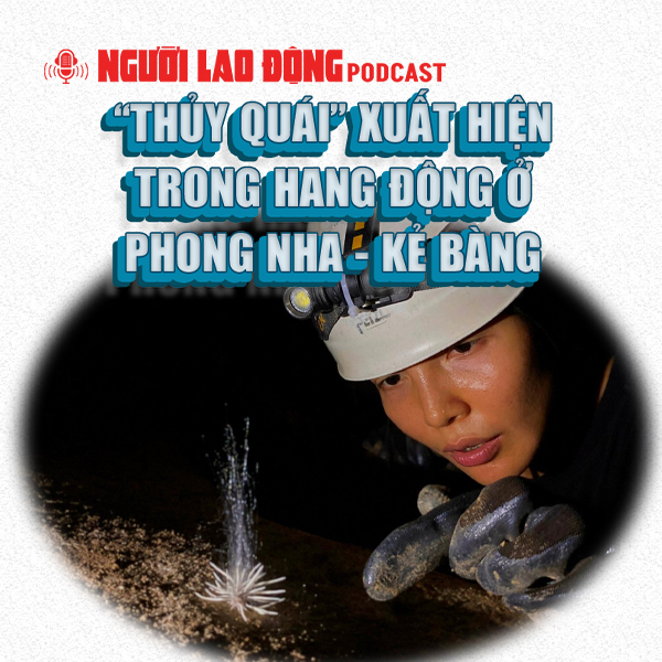“Thủy quái” xuất hiện trong hang động ở Phong Nha - Kẻ Bàng