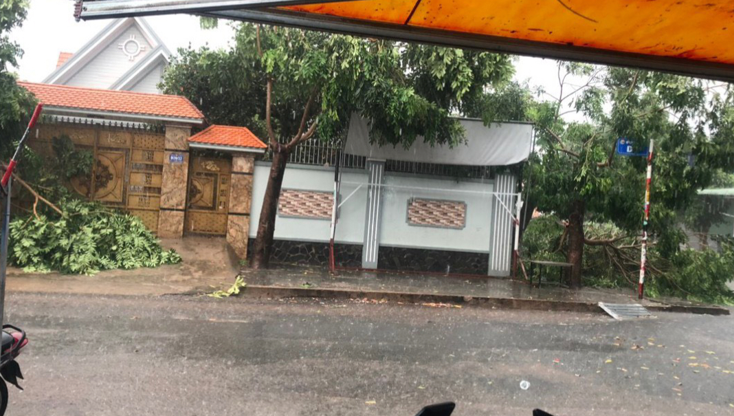 Bình Dương: Cây to bật gốc, làm hư hỏng nhà dân sau trận mưa kèm giông lốc- Ảnh 6.