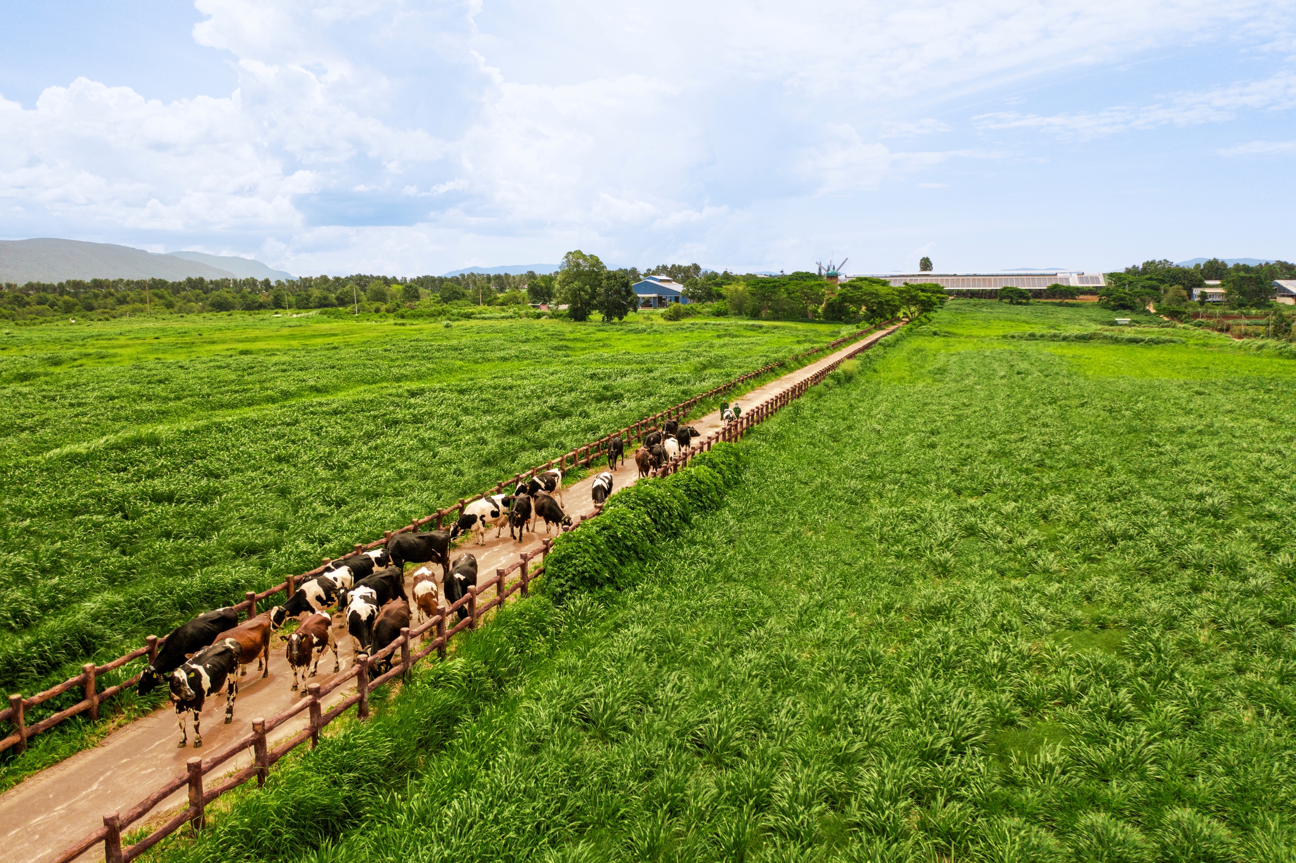 Tạo hệ sinh thái nông nghiệp bền vững để đến Net Zero- Ảnh 1.