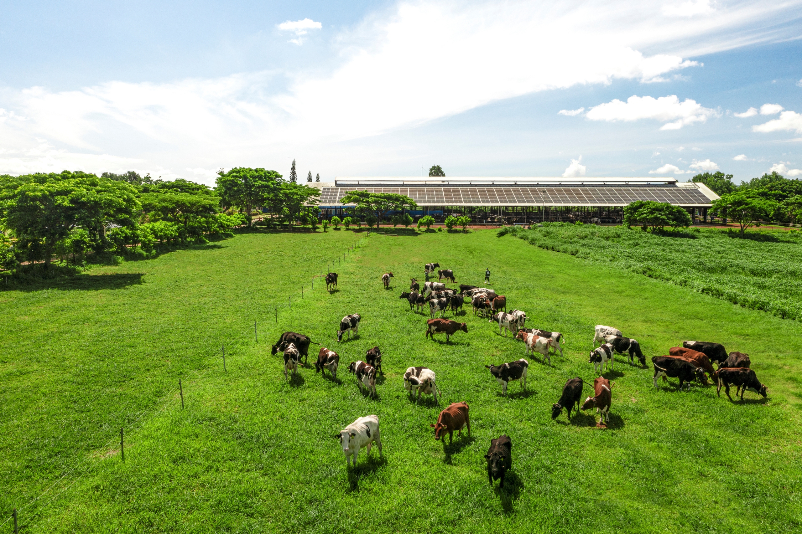 Tạo hệ sinh thái nông nghiệp bền vững để đến Net Zero- Ảnh 5.