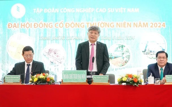 Tập đo&agrave;n C&ocirc;ng nghiệp cao su Việt Nam l&atilde;i lớn