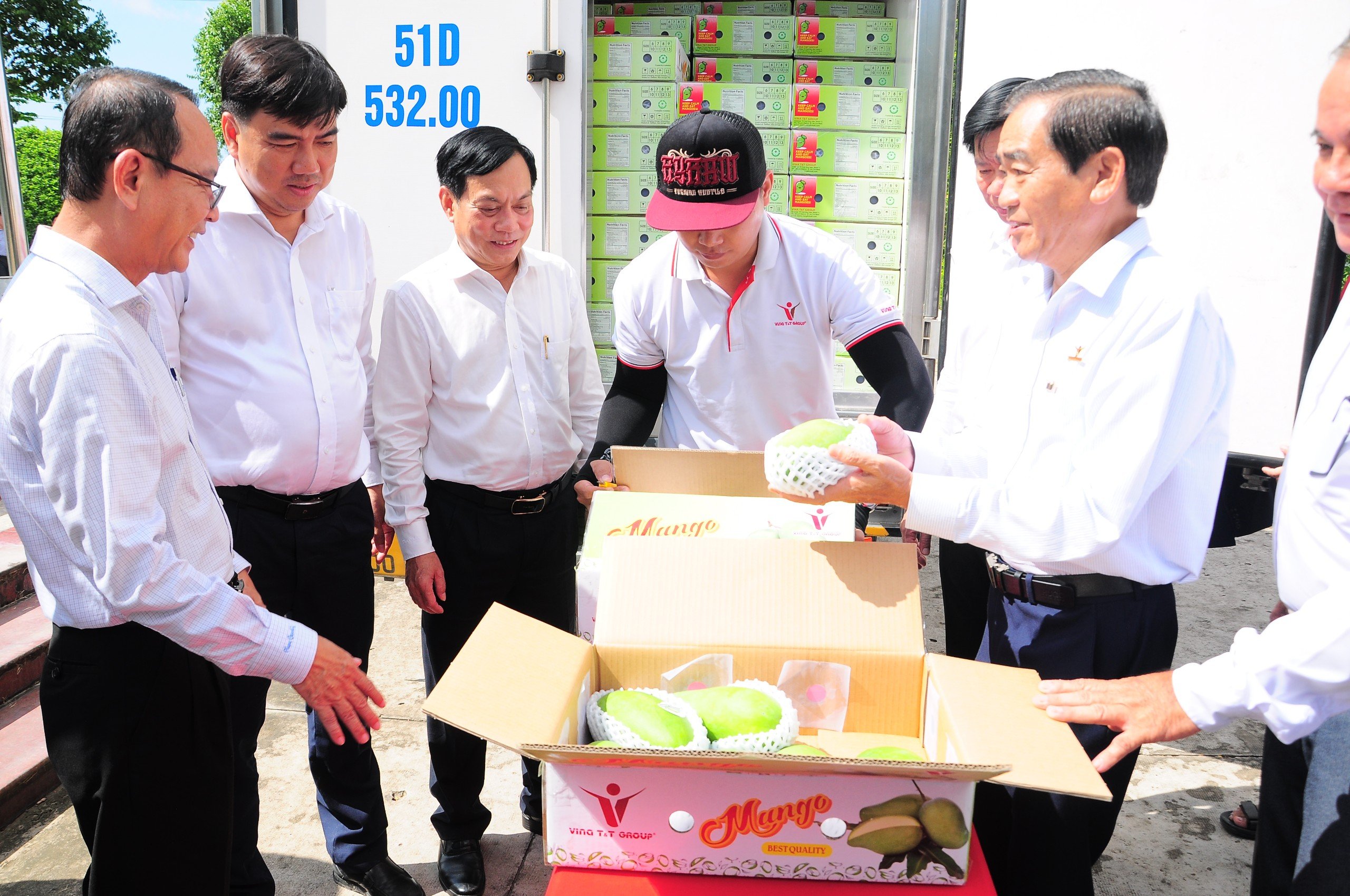 Cần Thơ xuất lô xoài tượng da xanh đầu tiên sang Úc và Mỹ - Ảnh 2.