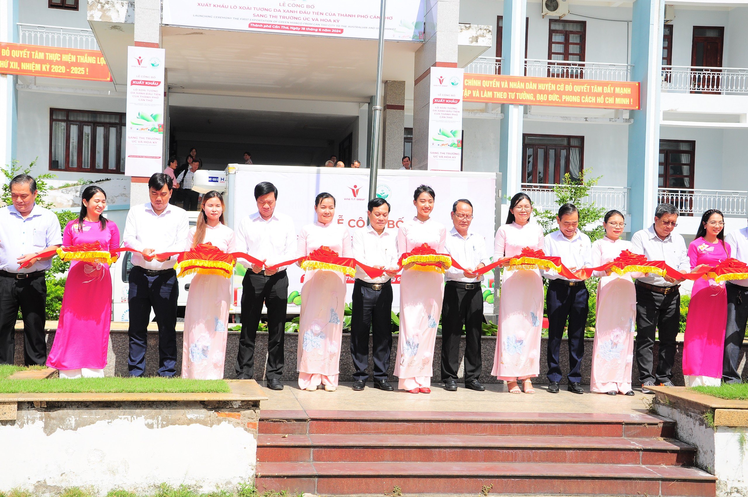 Cần Thơ xuất lô xoài tượng da xanh đầu tiên sang Úc và Mỹ - Ảnh 1.