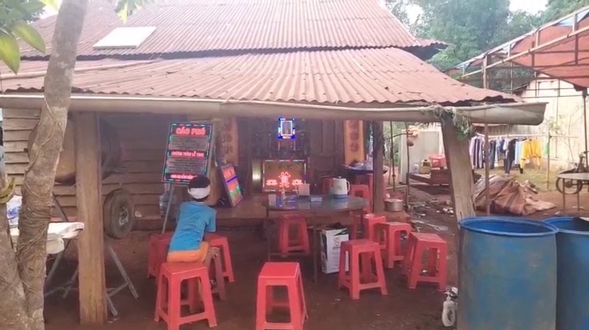 Bình Phước: Chó dại cắn cùng lúc 6 người, 1 người đã tử vong - Ảnh 1.
